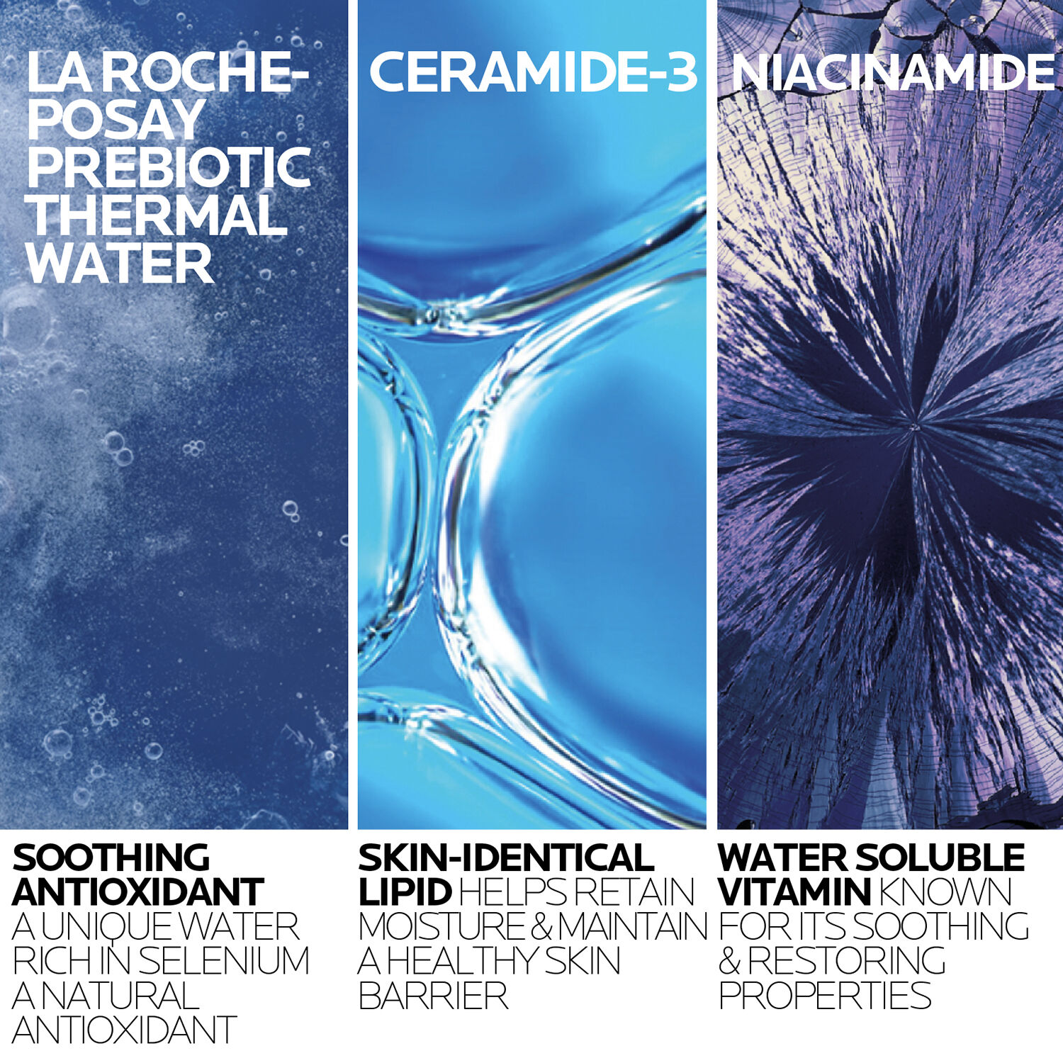 02_La-Roche-Posay_TolerianeHydrating20Cleanser_refill_ingredient_1500x1500.jpg
